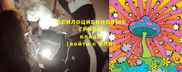 сатива Алексеевка